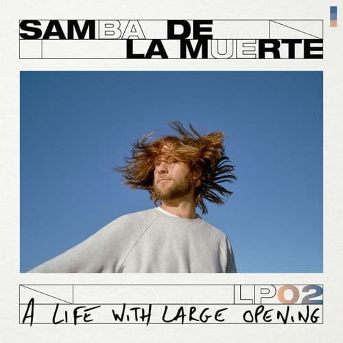 Album cover art for A Life with Large Opening