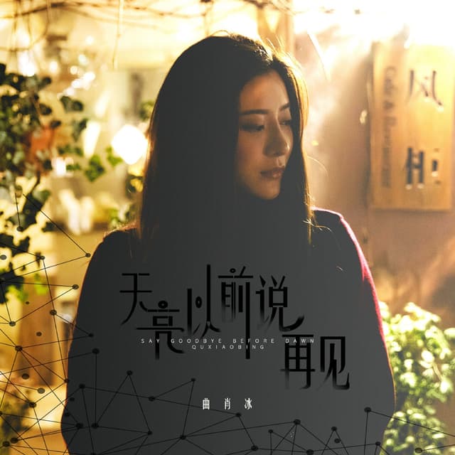 Album cover art for 天亮以前说再见