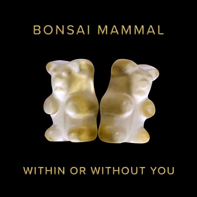 Album cover art for Within or Without You