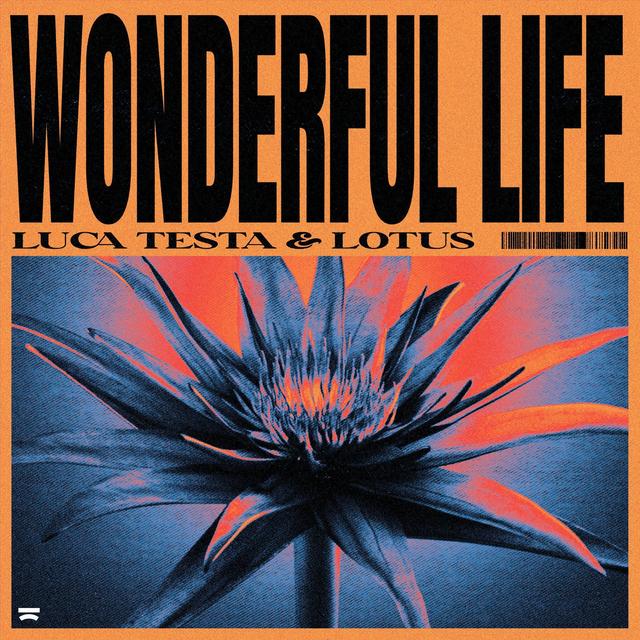 Album cover art for Wonderful Life
