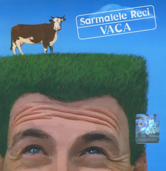 Album cover art for Vaca