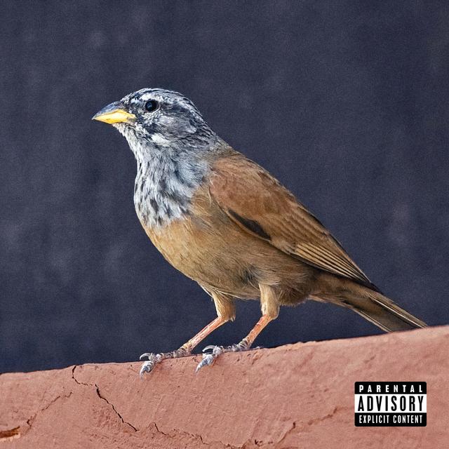 Album cover art for ATMSPR