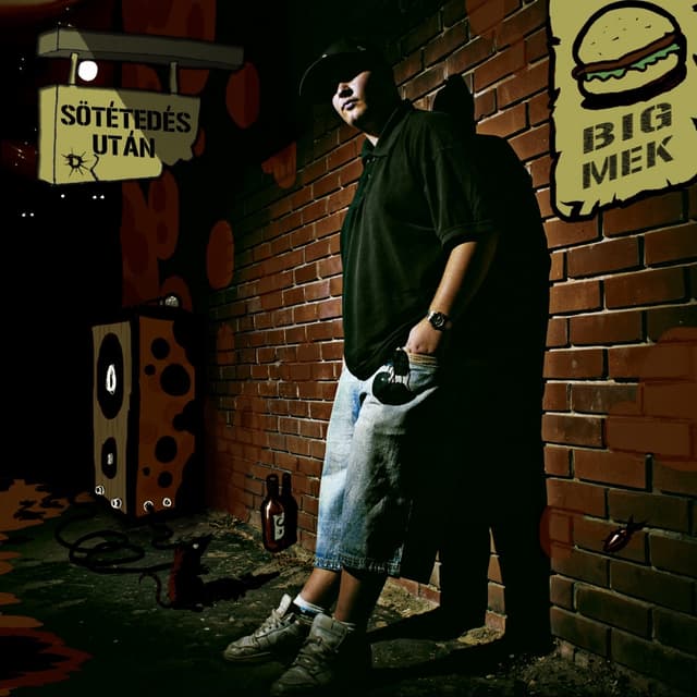 Album cover art for Sötétedés után