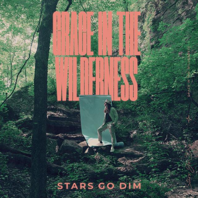 Album cover art for Grace in the Wilderness