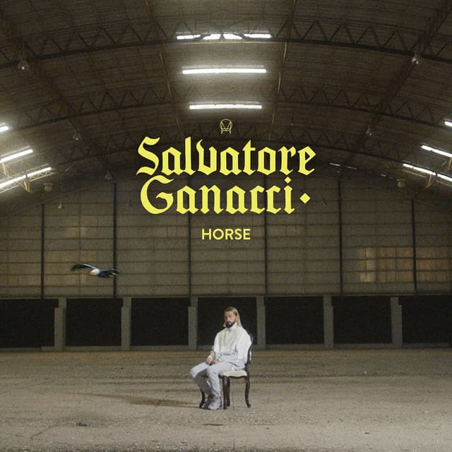 Album cover art for Horse