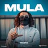 Mula