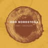 Ein bondes son