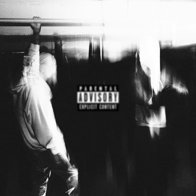 Album cover art for PUBLIC ENEMIES