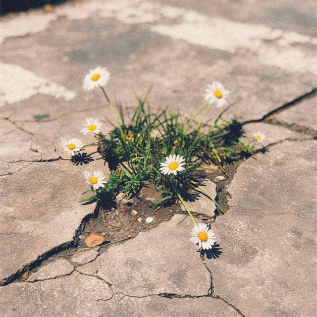 Album cover art for Mighty Name of Jesus & This Place