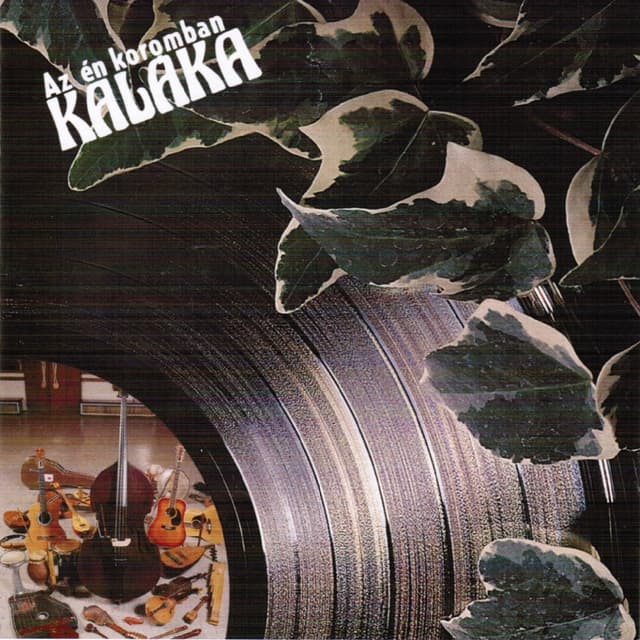 Album cover art for Az Én Koromban