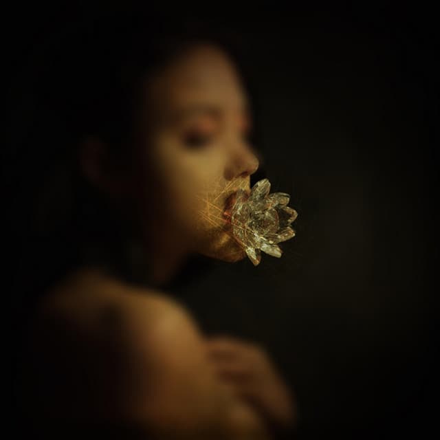 Album cover art for Lotus Flower
