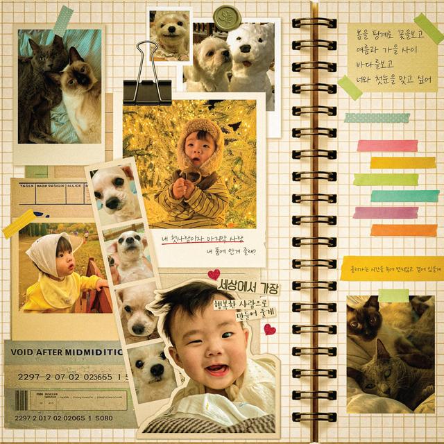 Album cover art for My first and last love