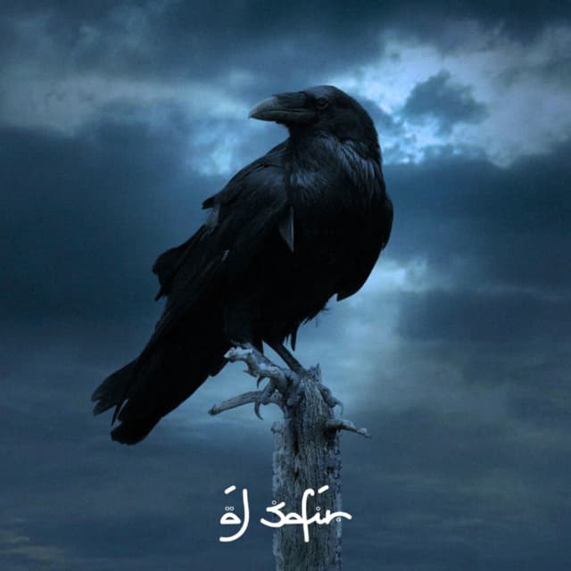 Album cover art for Shars 2023