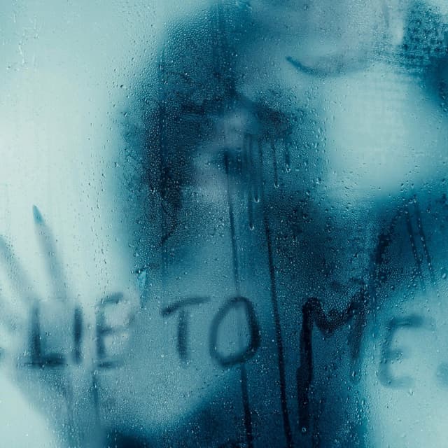 Album cover art for Lie to Me