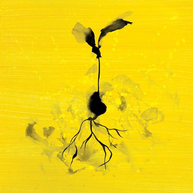 Album cover art for Life Goes on