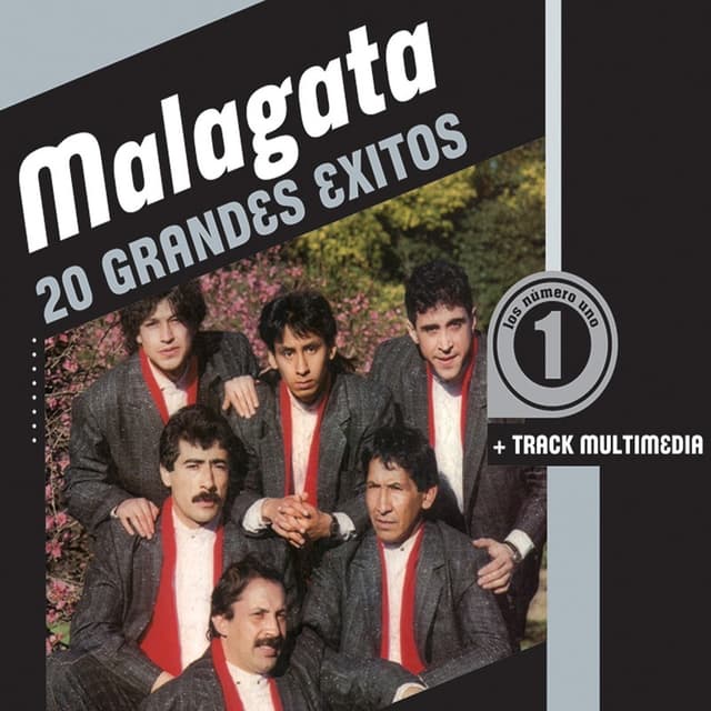 Album cover art for 20 Grandes Exitos