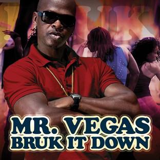 Album cover art for Bruk It Down