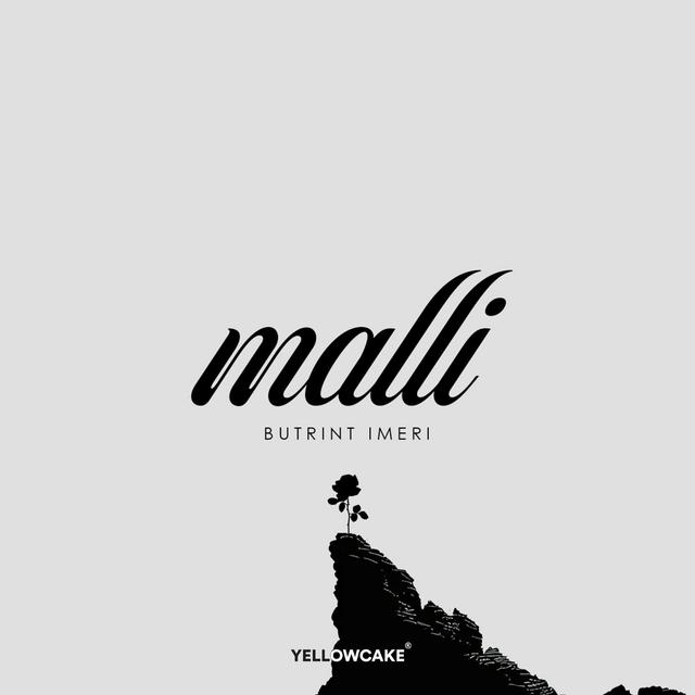 Album cover art for Malli