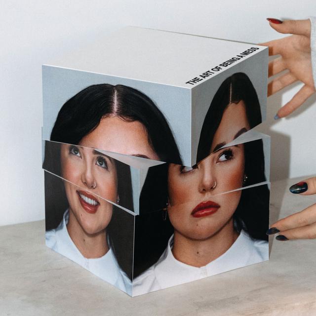 Album cover art for THE ART OF BEING A MESS