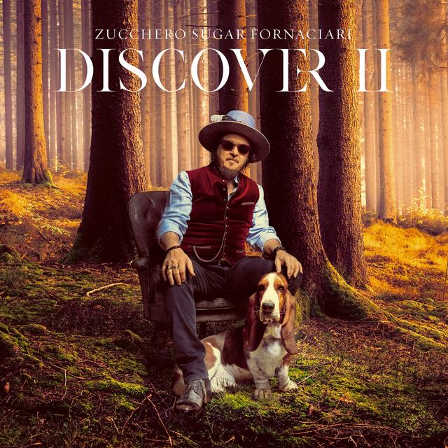 Album cover art for Discover II