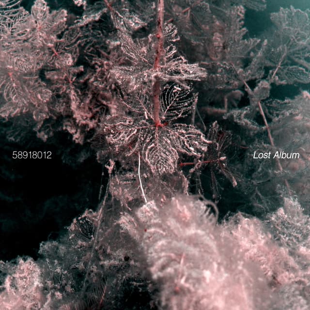 Album cover art for Lost Album
