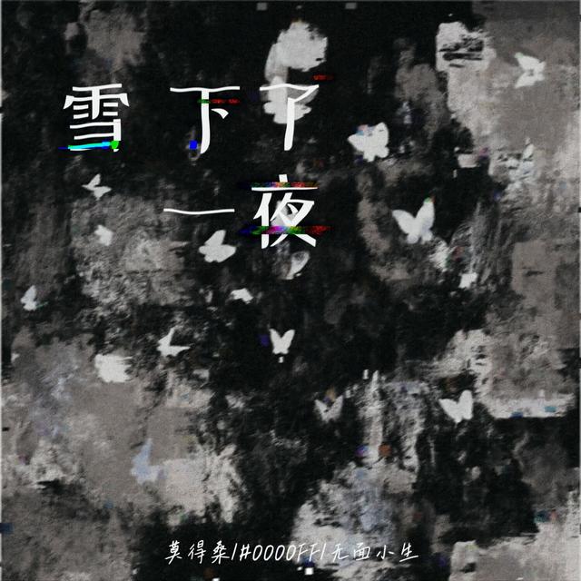 Album cover art for 雪下了一夜