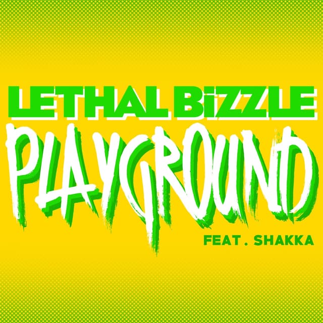 Album cover art for Playground