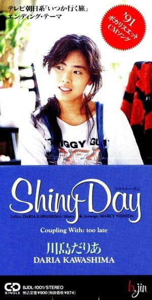 Album cover art for Shiny Day