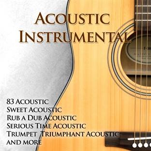 Album cover art for Acoustic Instrumental