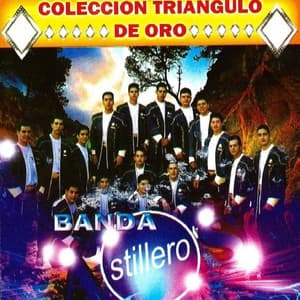 Album cover art for 30 Exitos
