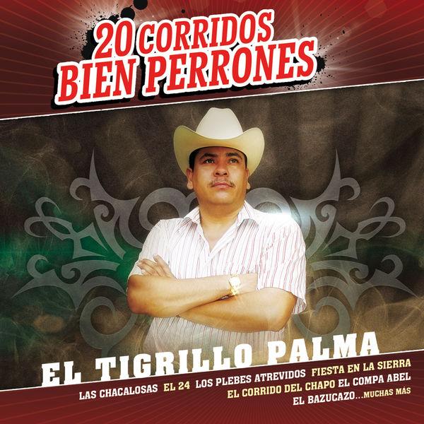 Album cover art for 20 Corridos Bien Perrones
