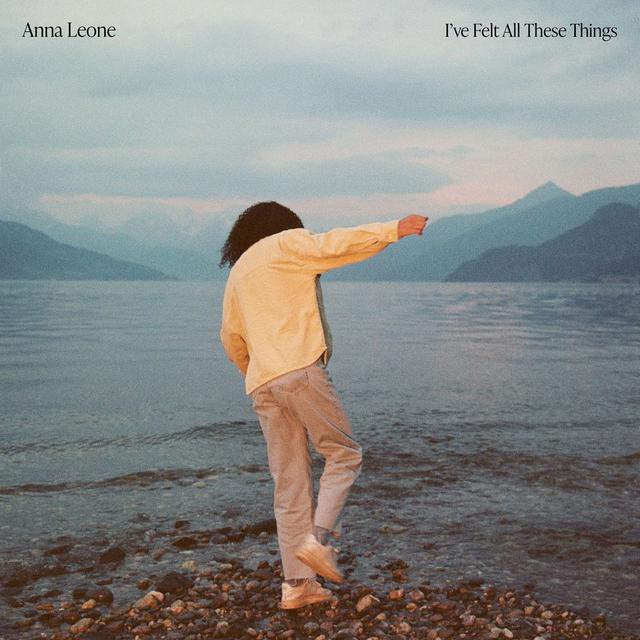 Album cover art for I've Felt All These Things