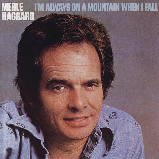 Album cover art for I'm Always On A Mountain When I Fall