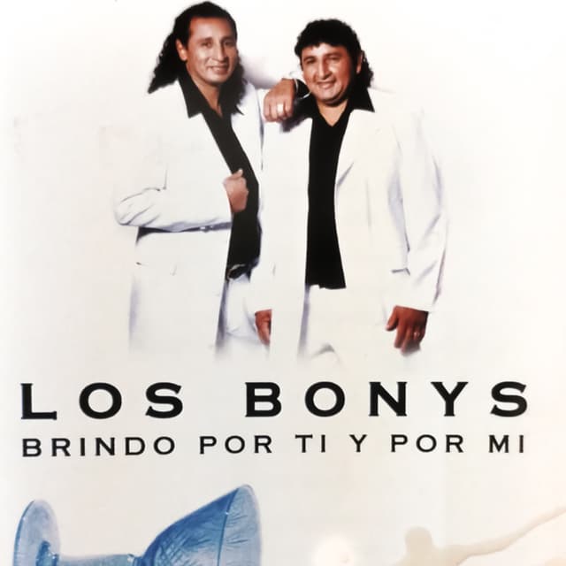 Album cover art for Brindo por Ti y por Mi