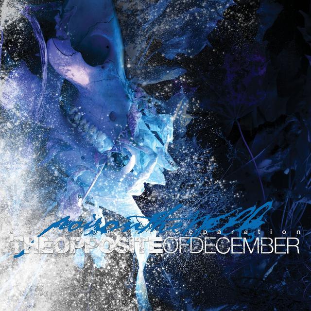 Album cover art for The Opposite Of December