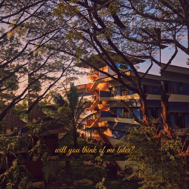 Album cover art for Will You Think of Me Later?