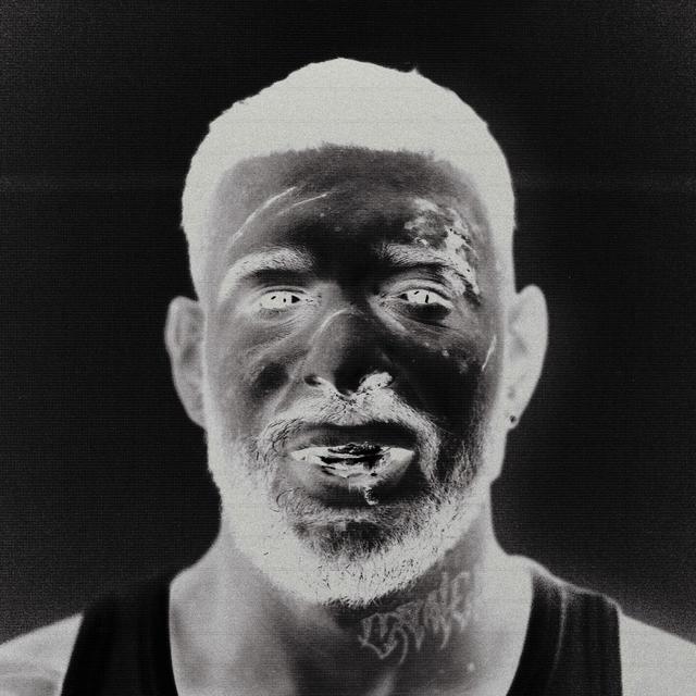 Album cover art for Ich falle in Frieden (Deluxe)