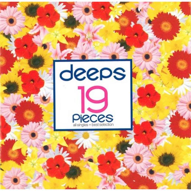 Album cover art for dps/19 pieces