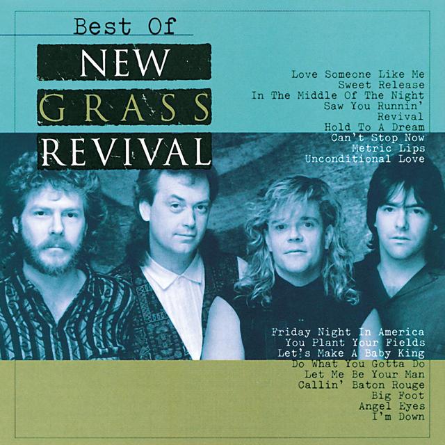 Album cover art for Best Of New Grass Revival