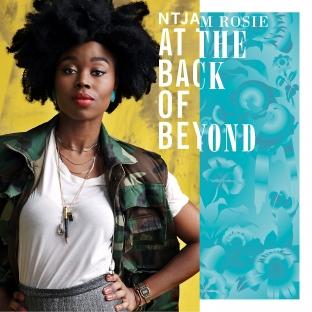 Album cover art for At The Back Of Beyond