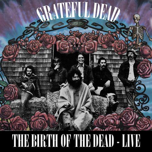 Album cover art for Birth of the Dead - Live Sides