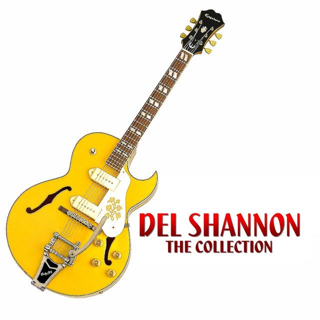 Album cover art for The Del Shannon Collection