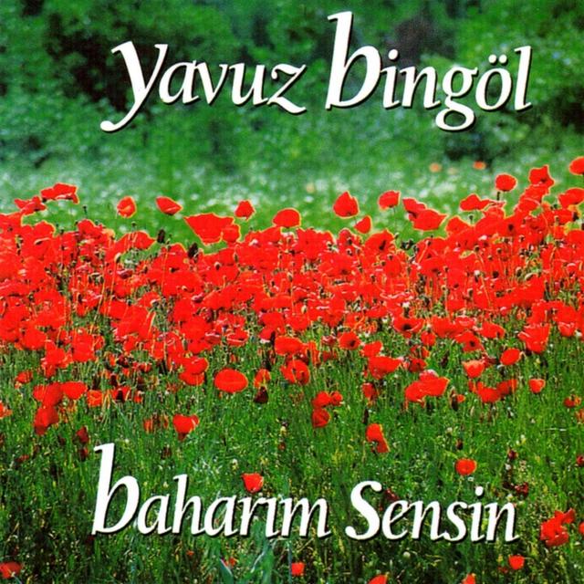 Album cover art for Baharım Sensin