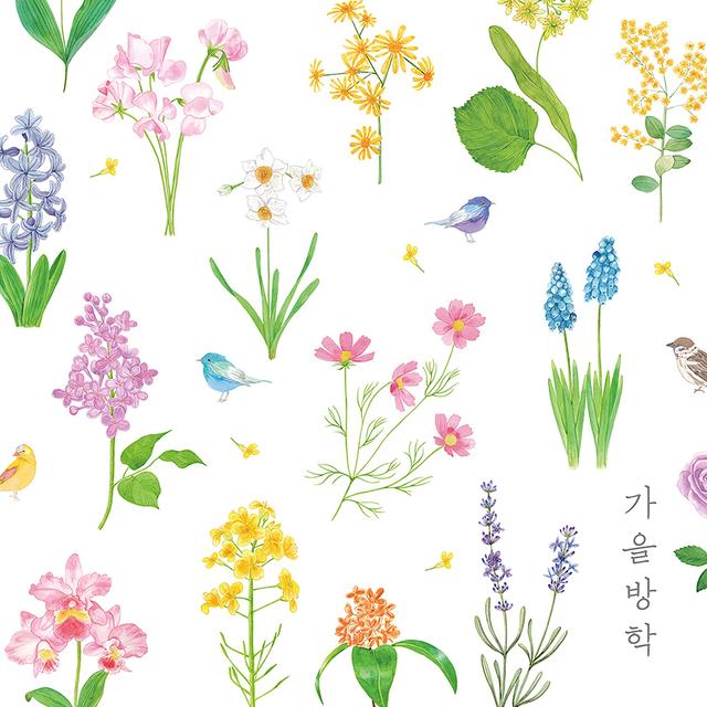 Album cover art for The World Is Like a Handkerchief