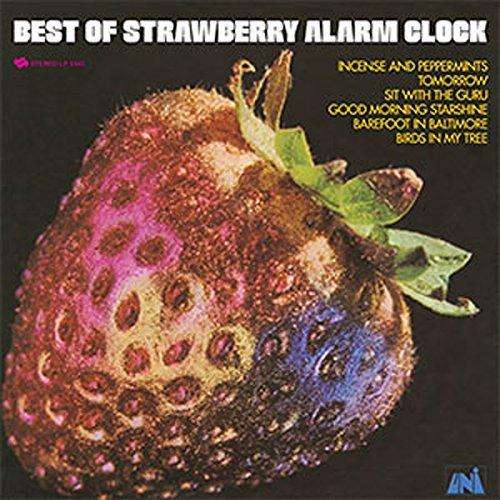 Album cover art for The Best of the Strawberry Alarm Clock