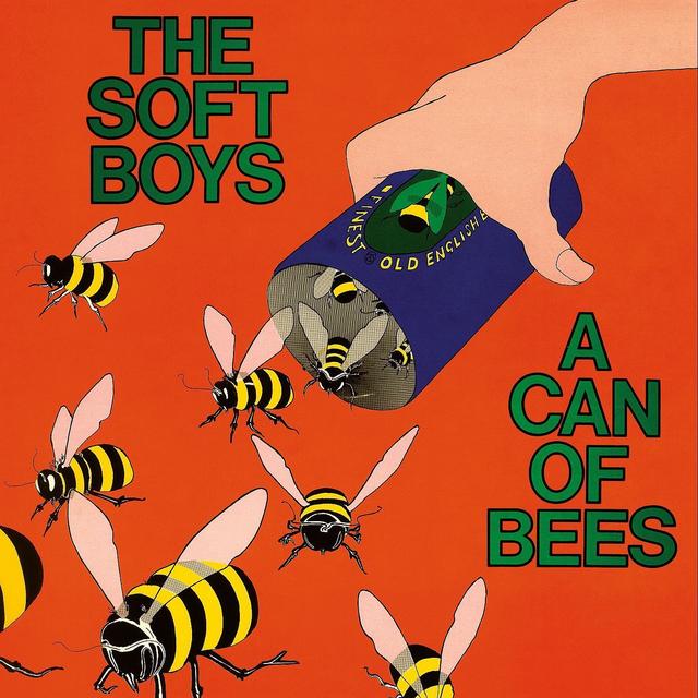 Album cover art for A Can Of Bees