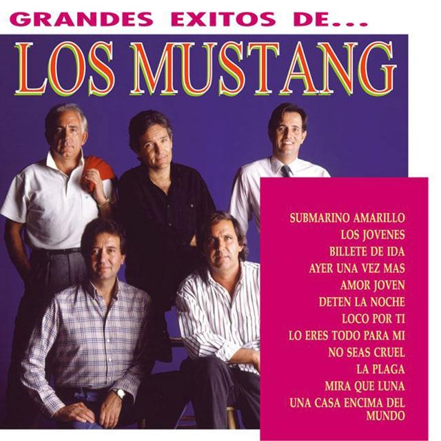 Album cover art for Grandes Exitos