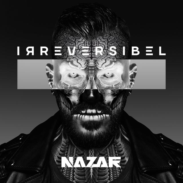 Album cover art for Irreversibel