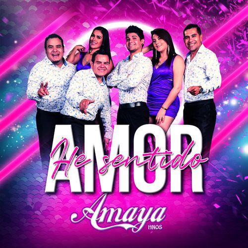 Album cover art for He Sentido Amor
