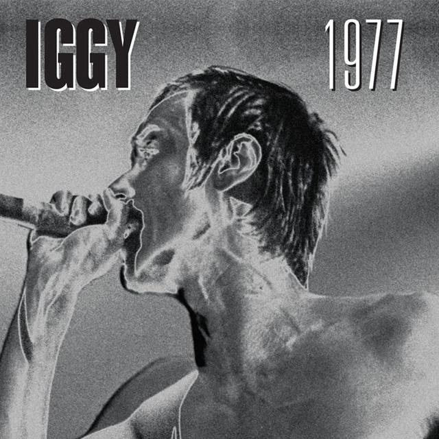 Album cover art for 1977